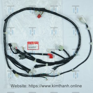 Vis-Dây sườn lớn - chính